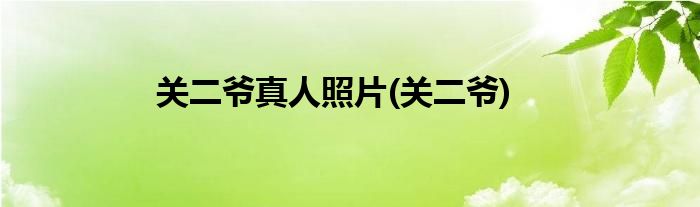 关二爷真人照片(关二爷)