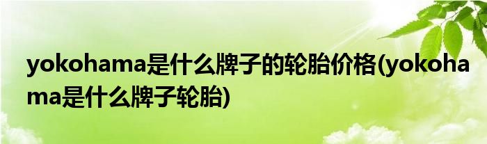 yokohama是什么牌子的轮胎价格(yokohama是什么牌子轮胎)