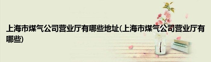 上海市煤气公司营业厅有哪些地址(上海市煤气公司营业厅有哪些)