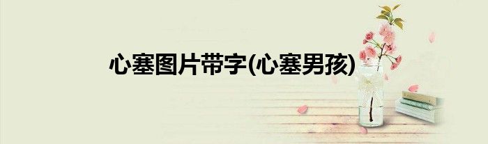 心塞图片带字(心塞男孩)