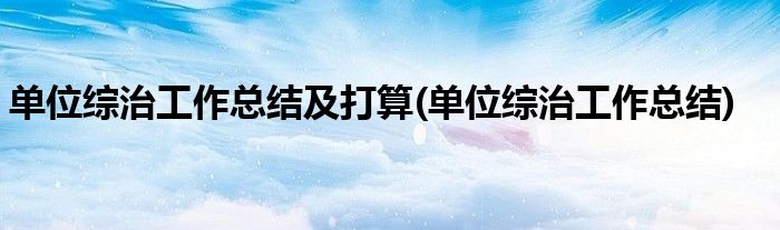 单位综治工作总结及打算(单位综治工作总结)