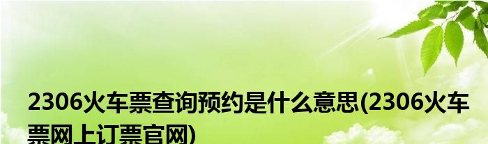 |2306火车票查询预约是什么意思(2306火车票网上订票官网)