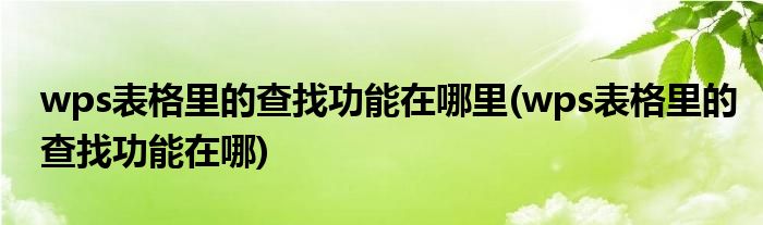 wps表格里的查找功能在哪里(wps表格里的查找功能在哪)
