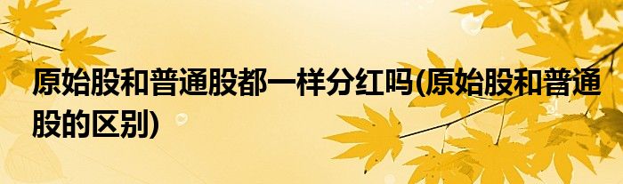 原始股和普通股都一样分红吗(原始股和普通股的区别)