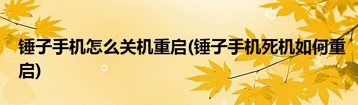 锤子手机怎么关机重启(锤子手机死机如何重启)