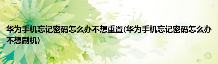 华为手机忘记密码怎么办不想重置(华为手机忘记密码怎么办不想刷机)