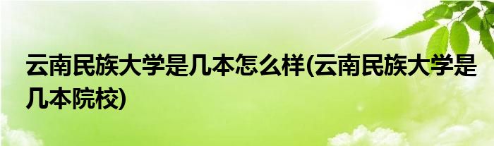 云南民族大学是几本怎么样(云南民族大学是几本院校)