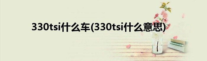 330tsi什么车(330tsi什么意思)