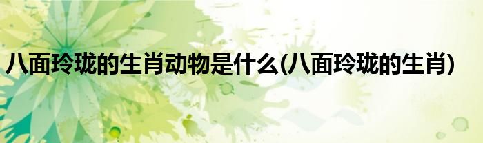 八面玲珑的生肖动物是什么(八面玲珑的生肖)