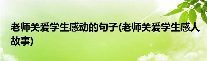 老师关爱学生感动的句子(老师关爱学生感人故事)