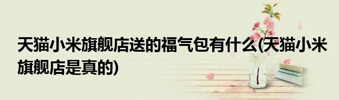 天猫小米旗舰店送的福气包有什么(天猫小米旗舰店是真的)