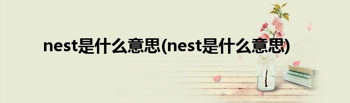 nest是什么意思(nest是什么意思)