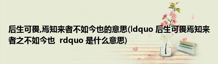后生可畏,焉知来者不如今也的意思(ldquo 后生可畏焉知来者之不如今也  rdquo 是什么意思)