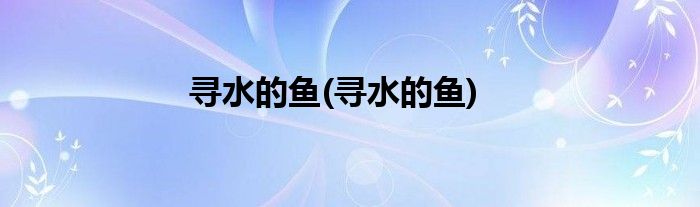 寻水的鱼(寻水的鱼)