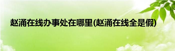 赵涌在线办事处在哪里(赵涌在线全是假)