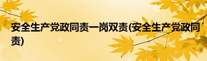 安全生产党政同责一岗双责(安全生产党政同责)