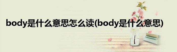 body是什么意思怎么读(body是什么意思)
