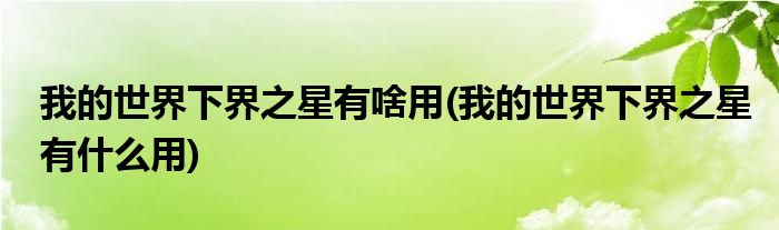 我的世界下界之星有啥用(我的世界下界之星有什么用)