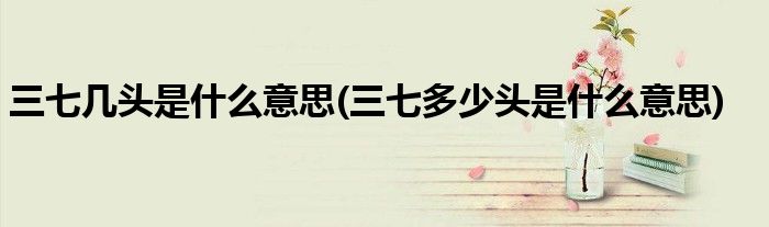 三七几头是什么意思(三七多少头是什么意思)