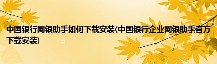 中国银行网银助手如何下载安装(中国银行企业网银助手官方下载安装)