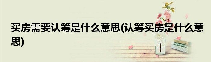 买房需要认筹是什么意思(认筹买房是什么意思)