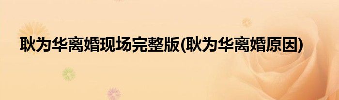 耿为华离婚现场完整版(耿为华离婚原因)