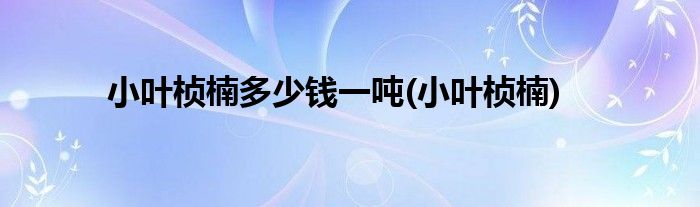 小叶桢楠多少钱一吨(小叶桢楠)