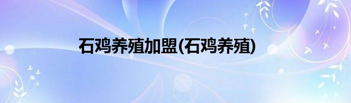 石鸡养殖加盟(石鸡养殖)