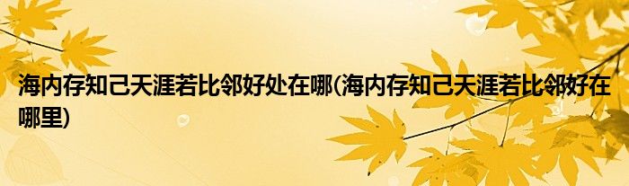 海内存知己天涯若比邻好处在哪(海内存知己天涯若比邻好在哪里)