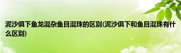 泥沙俱下鱼龙混杂鱼目混珠的区别(泥沙俱下和鱼目混珠有什么区别)