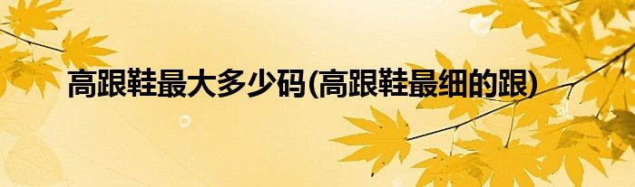 高跟鞋最大多少码(高跟鞋最细的跟)