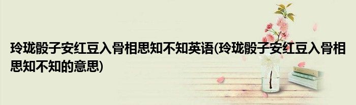 玲珑骰子安红豆入骨相思知不知英语(玲珑骰子安红豆入骨相思知不知的意思)