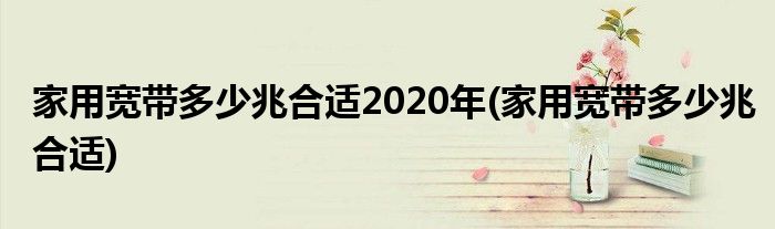 家用宽带多少兆合适2020年(家用宽带多少兆合适)