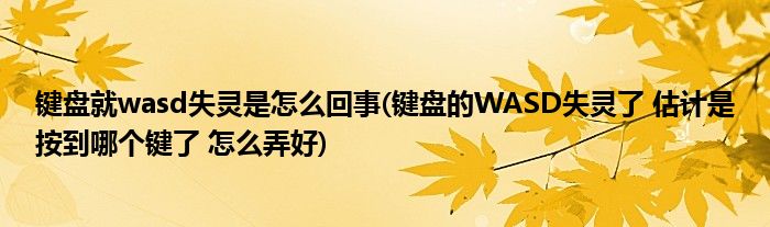 键盘就wasd失灵是怎么回事(键盘的WASD失灵了 估计是按到哪个键了 怎么弄好)