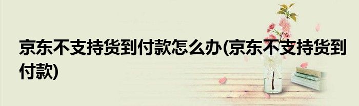 京东不支持货到付款怎么办(京东不支持货到付款)