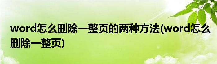 word怎么删除一整页的两种方法(word怎么删除一整页)