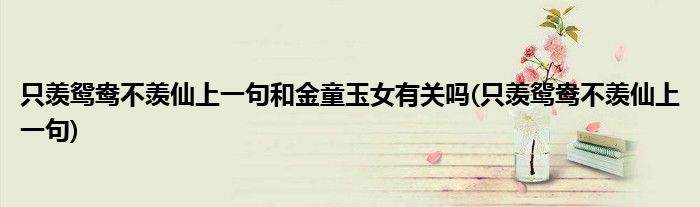 只羡鸳鸯不羡仙上一句和金童玉女有关吗(只羡鸳鸯不羡仙上一句)