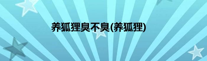 养狐狸臭不臭(养狐狸)