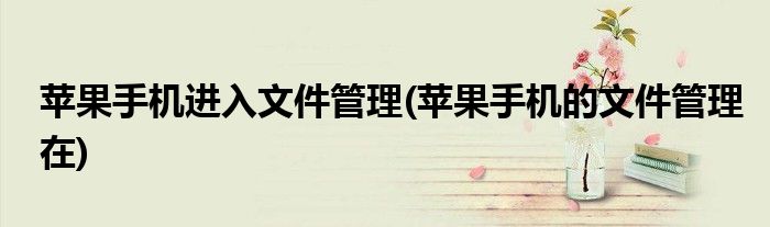 苹果手机进入文件管理(苹果手机的文件管理在)