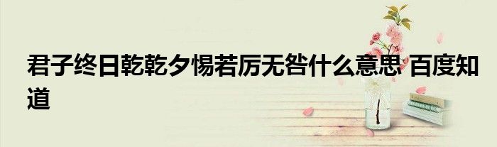 君子终日乾乾夕惕若厉无咎什么意思 百度知道