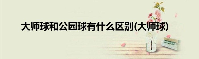 大师球和公园球有什么区别(大师球)