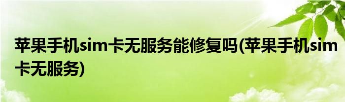 苹果手机sim卡无服务能修复吗(苹果手机sim卡无服务)