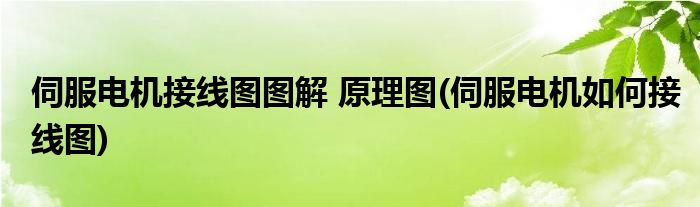 伺服电机接线图图解 原理图(伺服电机如何接线图)
