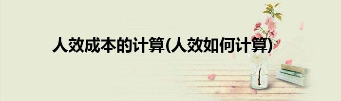 人效成本的计算(人效如何计算)
