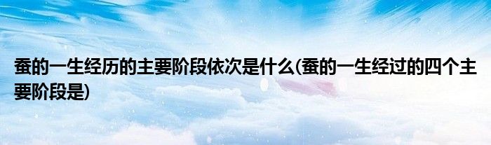 蚕的一生经历的主要阶段依次是什么(蚕的一生经过的四个主要阶段是)