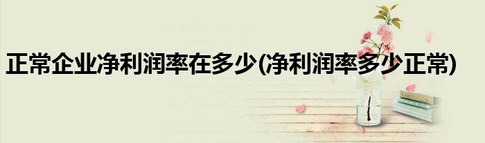 正常企业净利润率在多少(净利润率多少正常)