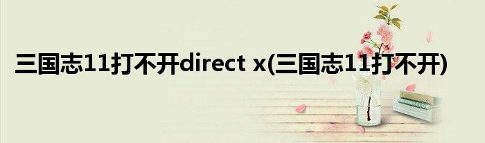 三国志11打不开direct x(三国志11打不开)