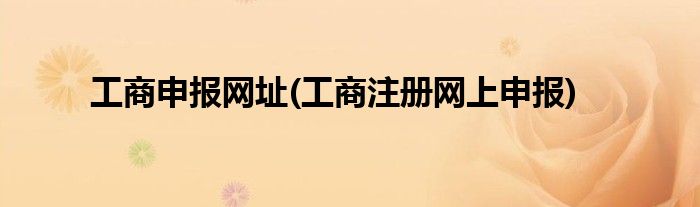 工商申报网址(工商注册网上申报)
