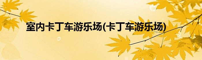 室内卡丁车游乐场(卡丁车游乐场)