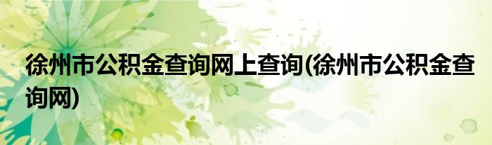 徐州市公积金查询网上查询(徐州市公积金查询网)